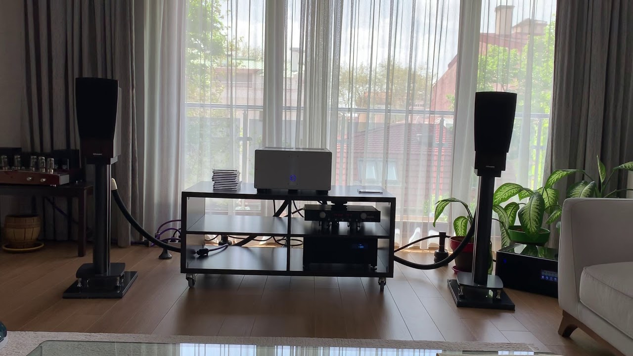 Dynaudio C1 signature