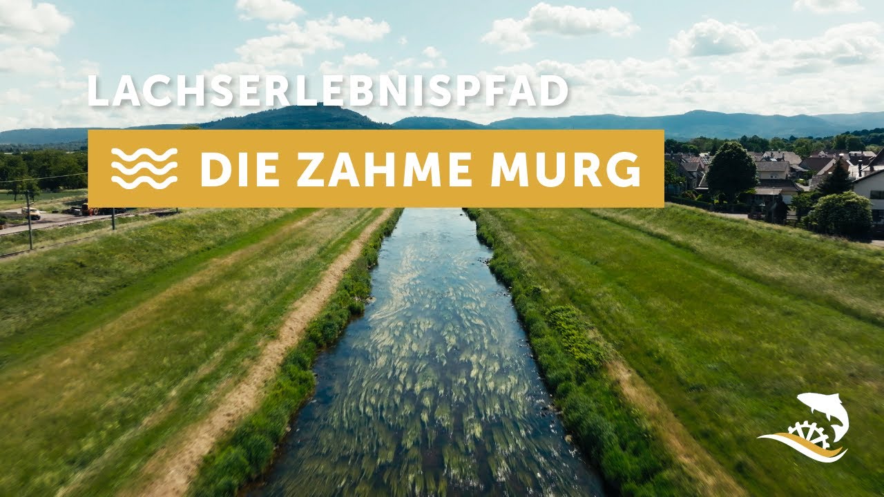 Lachs Erlebnis Pfad im Murgtal - Die zahme Murg lädt ein