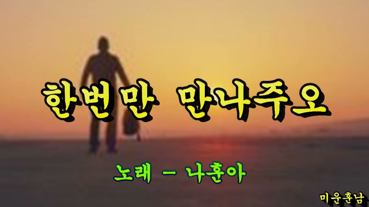 한번만 만나주오  -  나훈아