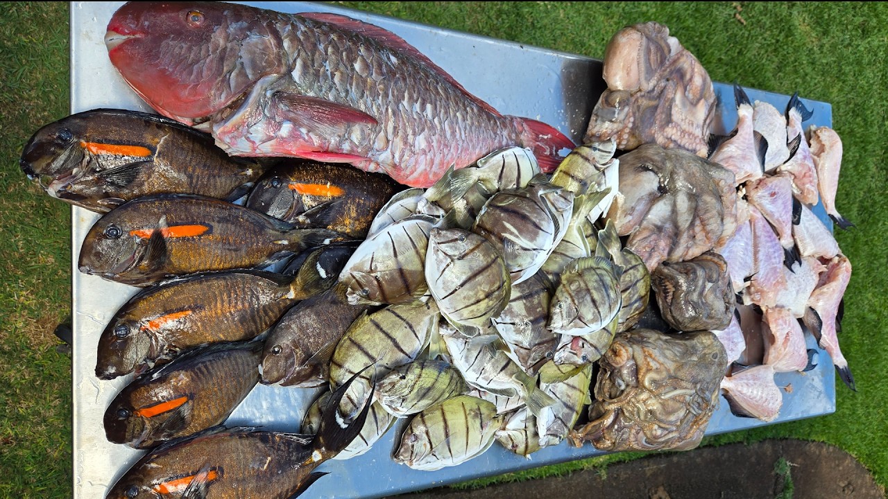 Catch & Cook - How We Catered Fresh Fish For A Special Event! Spearfishing Hawaii