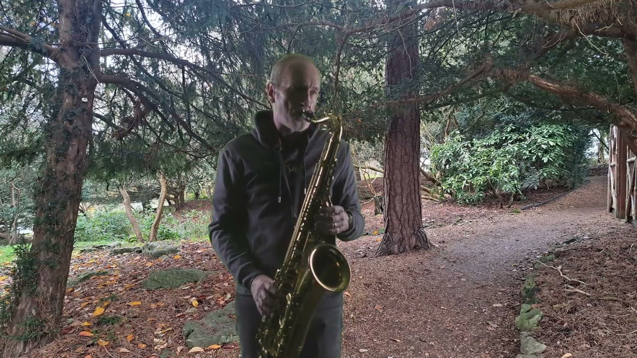 If Tomorrow Never Comes - Sax cover