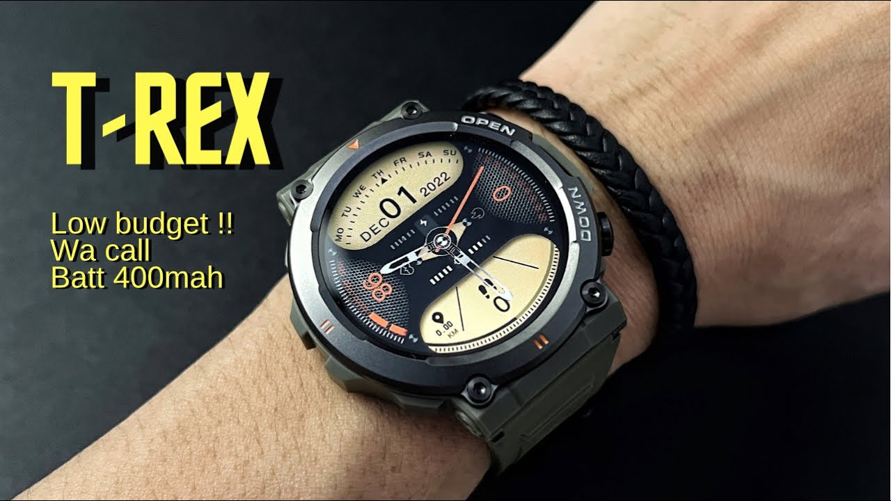 ZEBLAZE VIBE 7 - Review