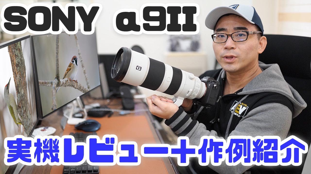 【実機レビュー】α9 IIとバズーカレンズで野鳥撮影！作例をたっぷり紹介します