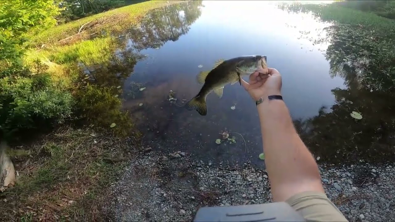 Fishing at work