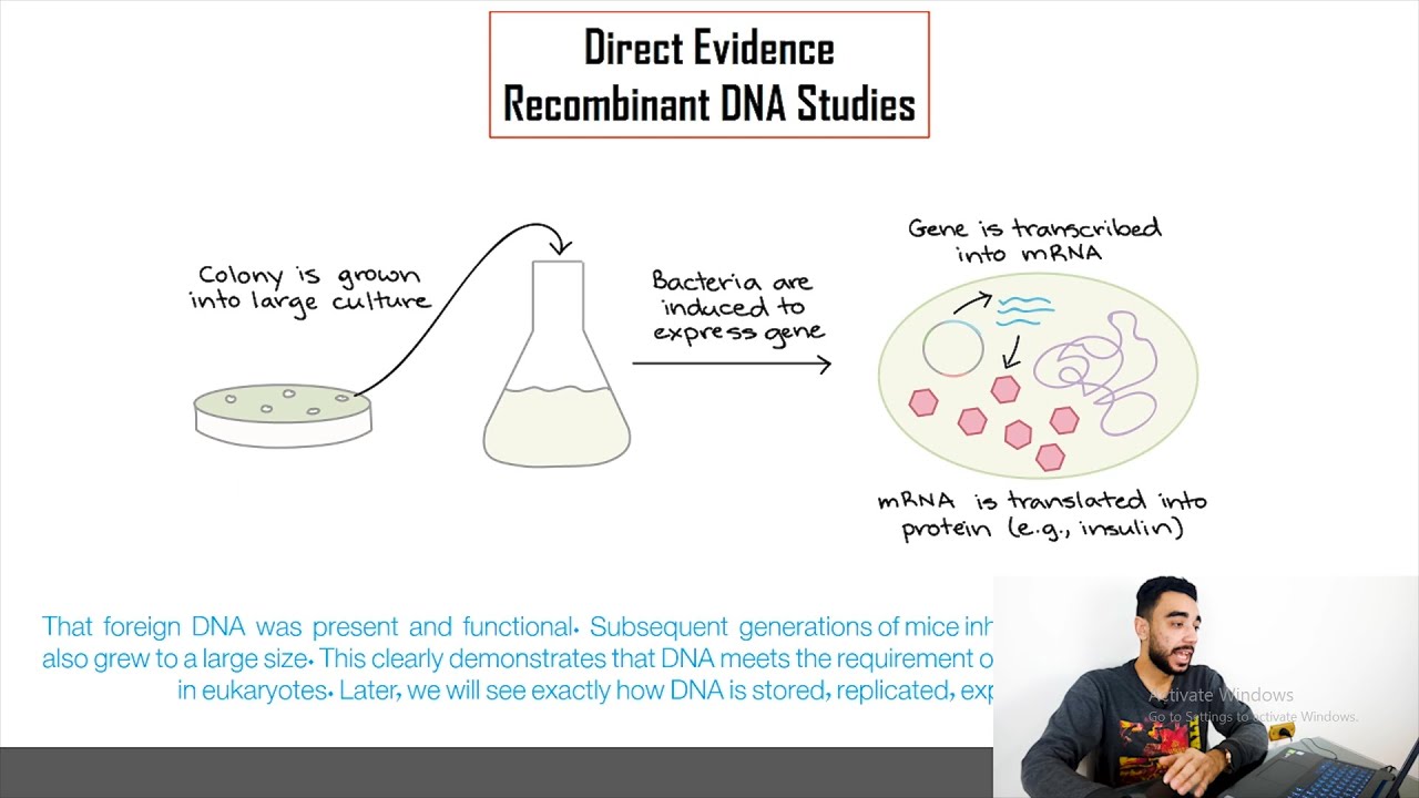 07 | The Indirect And Direct Evidence Supports That DNA Is  Genetic Material In Eukaryotic