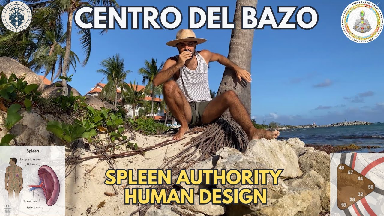 Autoridad Esplenica (de Bazo) en Diseño Humano por un Esplenico