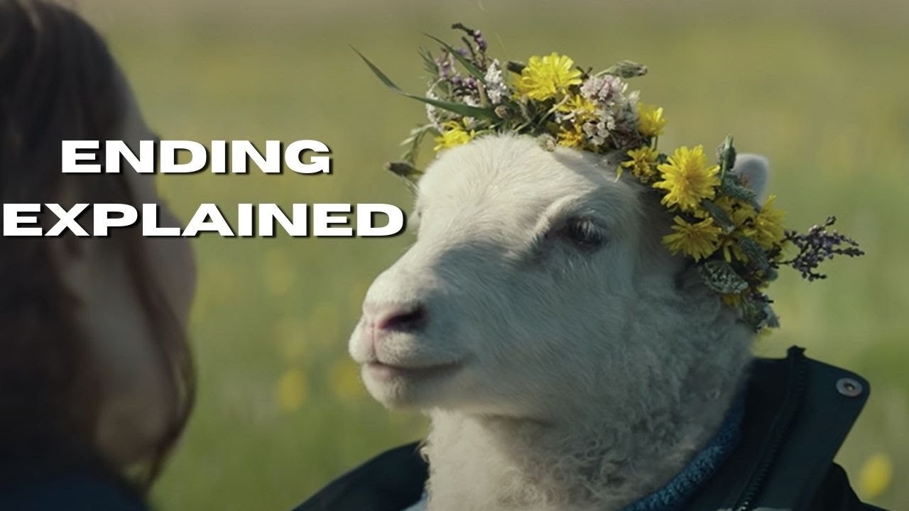 Что означает концовка A24 LAMB