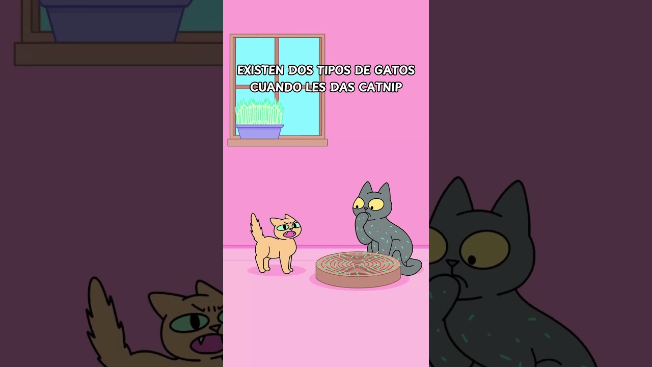 Dos tipos de gatos con catnip: Relajados vs. Destructores 😹🌿 