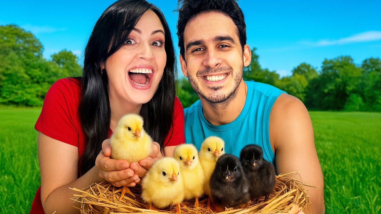 Así Lucen Los Hijos de Nuestras Gallinas! 🐥❤️ Los Nuevos Pollitos de La Finquita Bonita