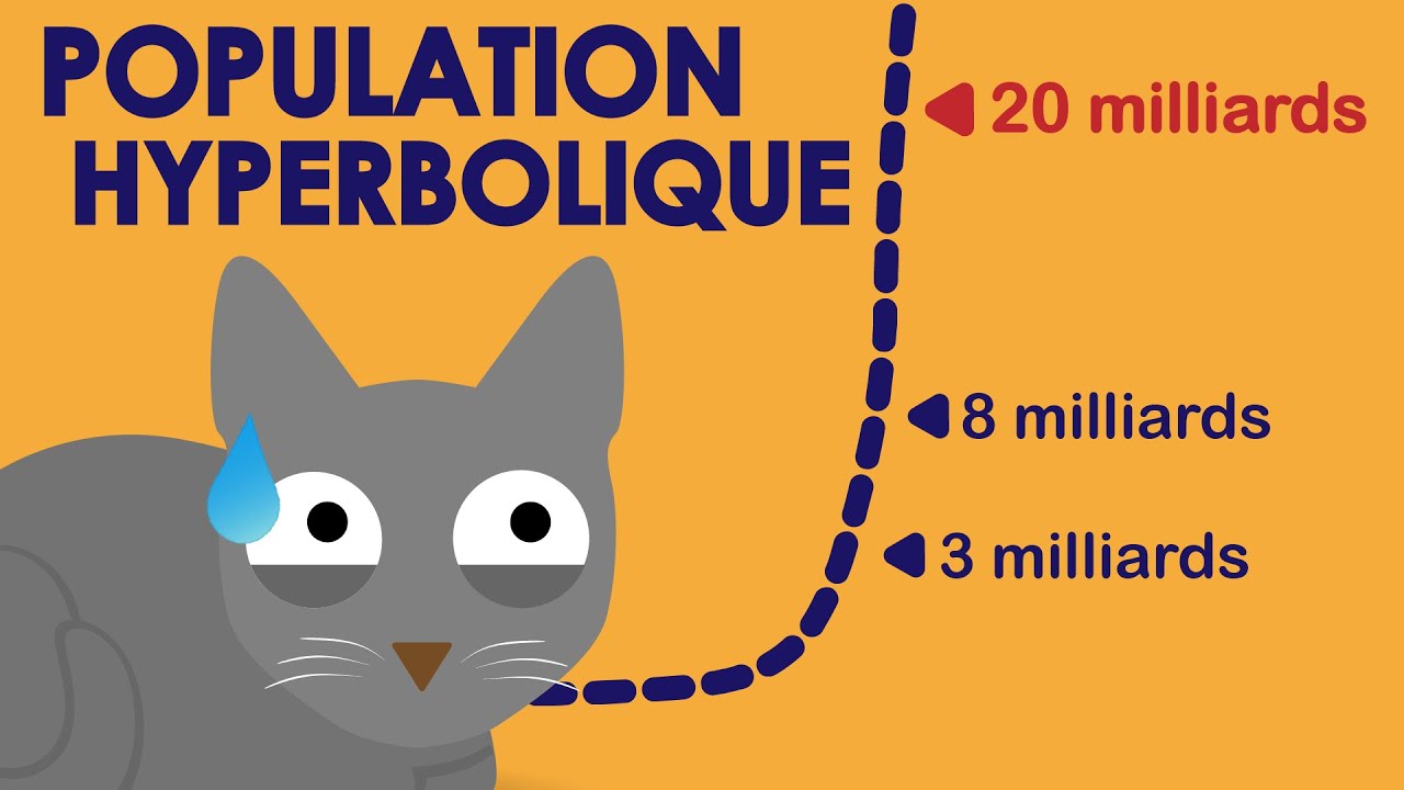 La croissance 📈