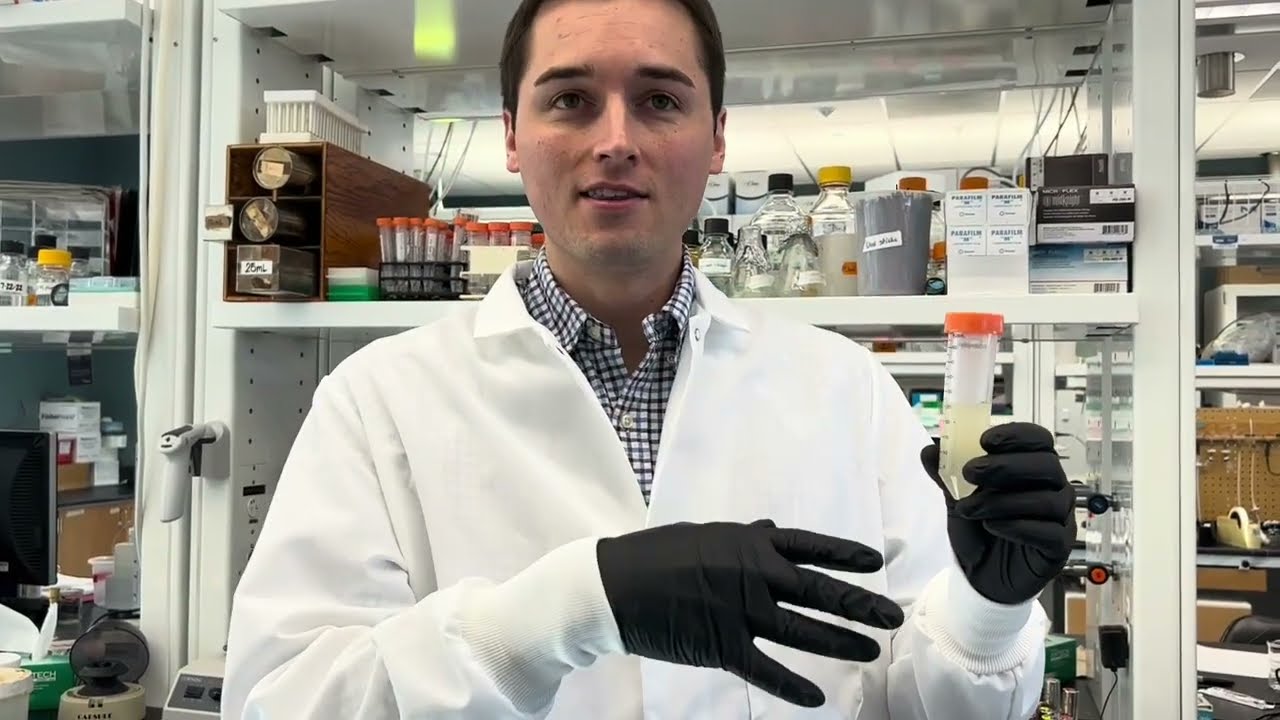 Multitasking microbes could improve biofuel economics, climate impact