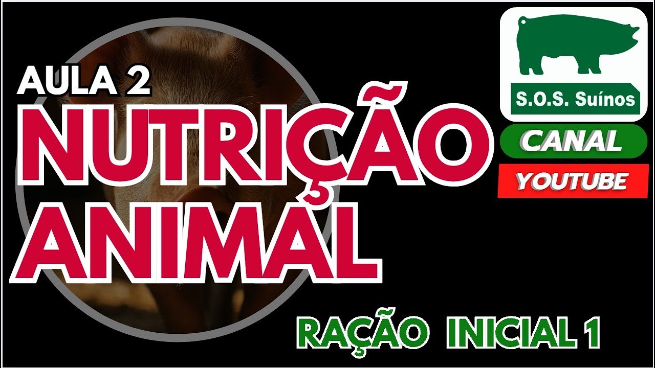 SUINOCULTURA: SOS SUINOS  - AULA 2 - NUTRIÇÃO ANIMAL - RAÇÃO INICIAL 1