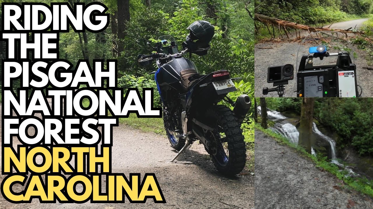 Ténéré 700: The Ultimate Pisgah Forest Adventure!