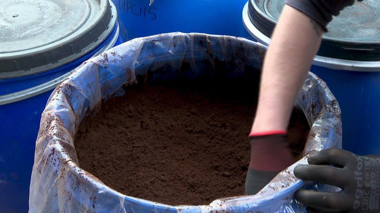 Treasured trash: UK coffee grounds get new lease of life | AFP