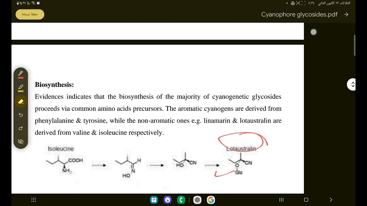 Cyanophorglycosid كل المحاضره + امتحان 