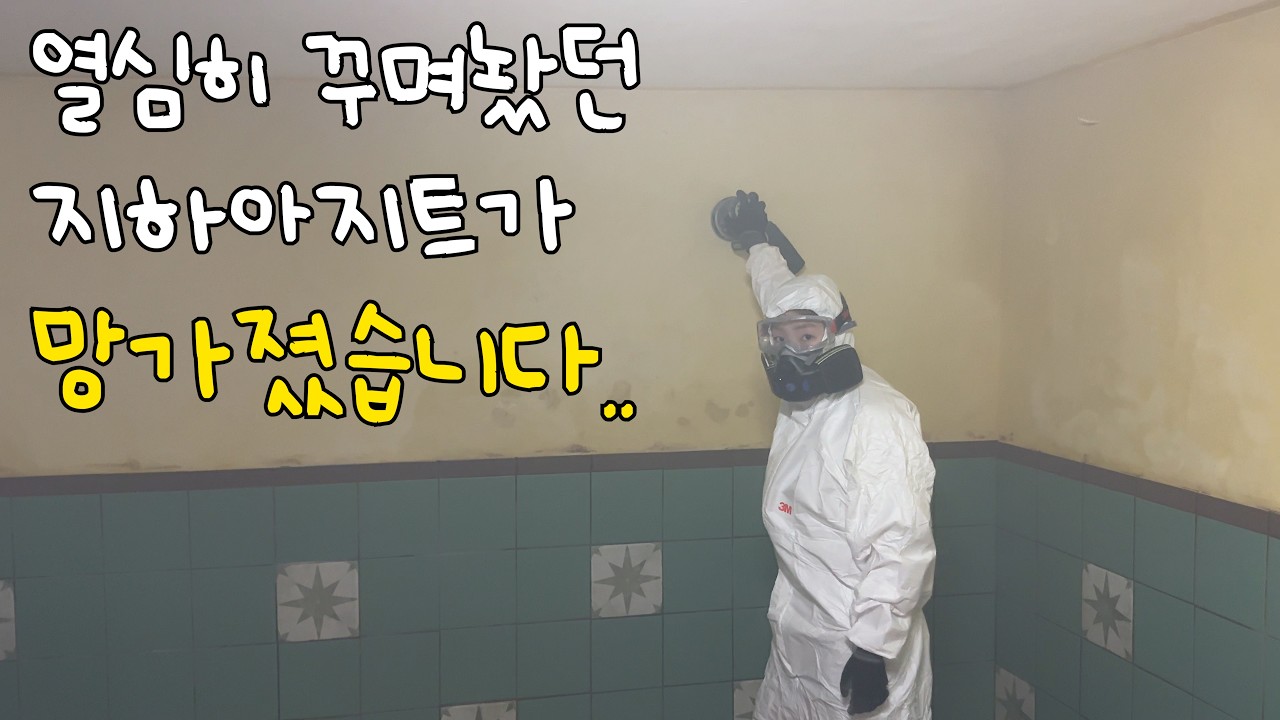 EP.73 버려진 지하실 아지트로 꾸며놓고, 두달간 방치했더니 벌어진 충격적인 현실..😱 습기와 곰팡이는 이렇게 처리하세요💡