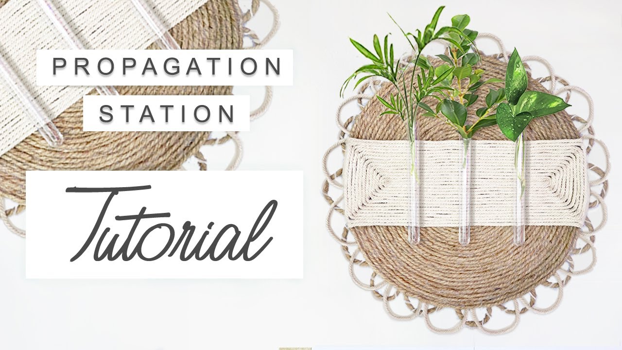 How To Make A Propagation Station 🌱 Cheap Boho Home Decor 🌿 Houseplant Home Decor | Room Decor