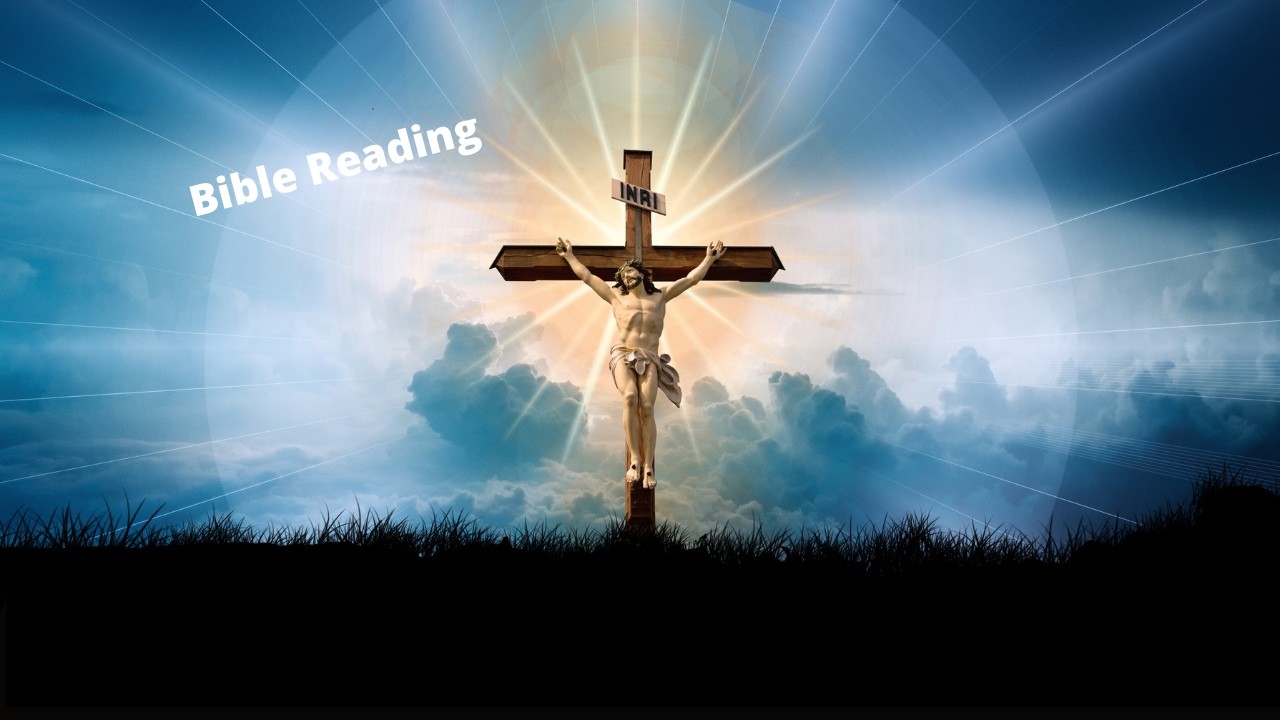 Bible Reading Leviticus4 to 7; Hebrews 3