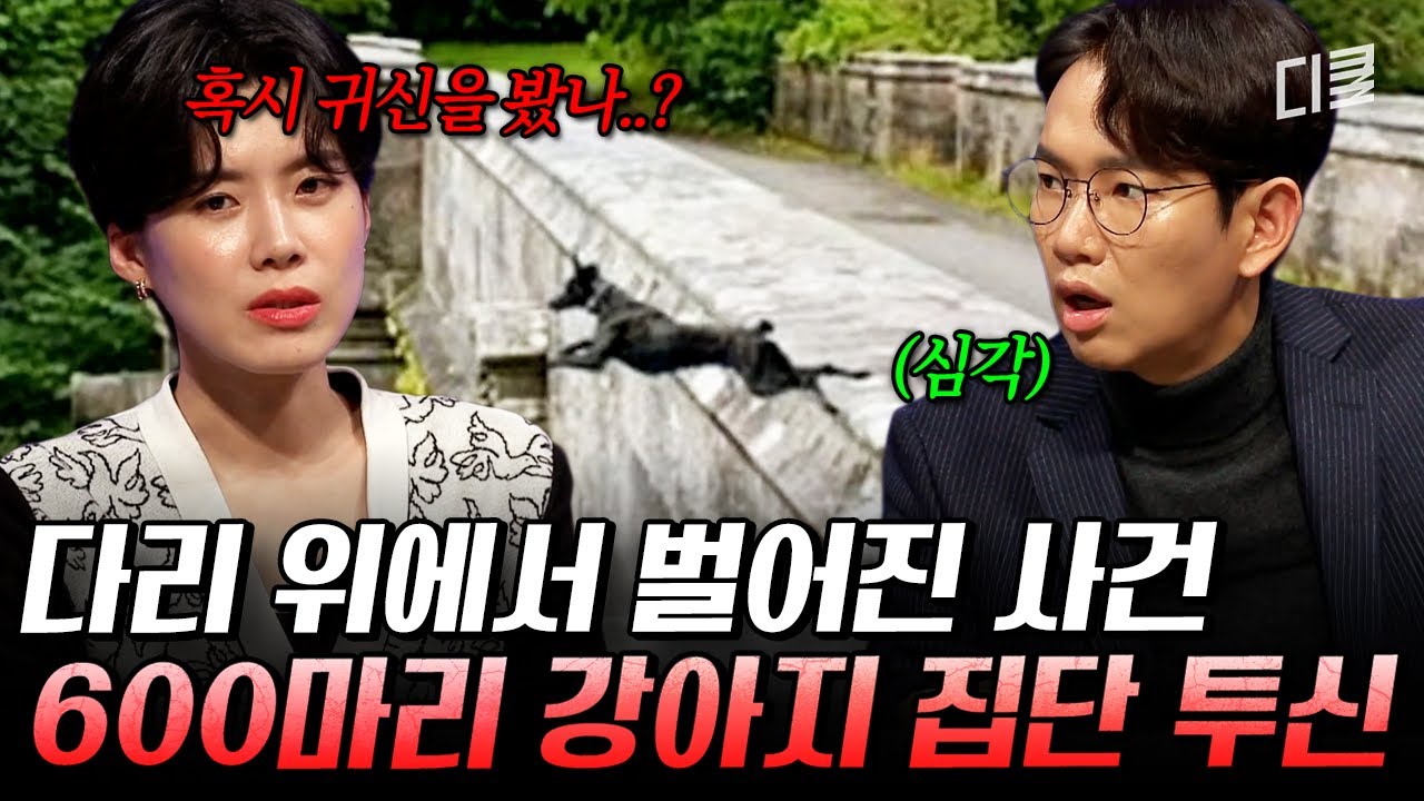 수백 마리의 강아지가 뛰어내렸다니🥶 이 다리에서 벌어진 끔찍한 일의 이유🤔 #다빈치노트