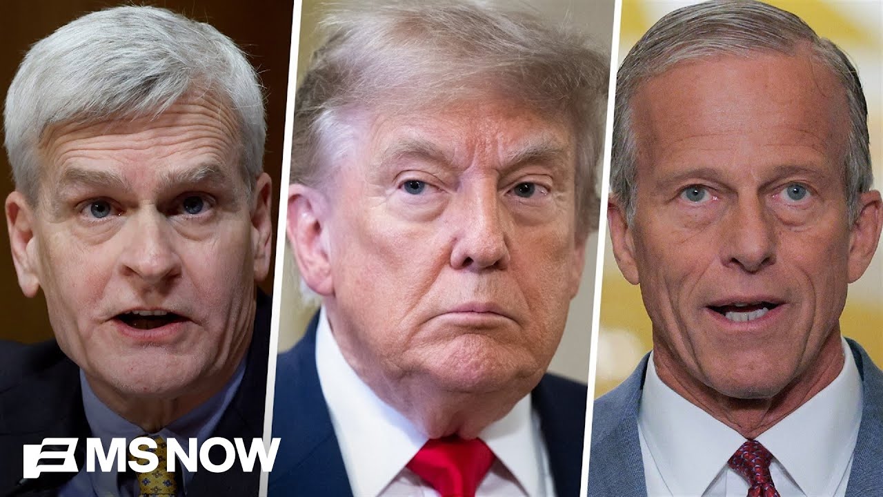 'Real shouting match': Inside GOP Senator's 'high temperature' lunch with Trump