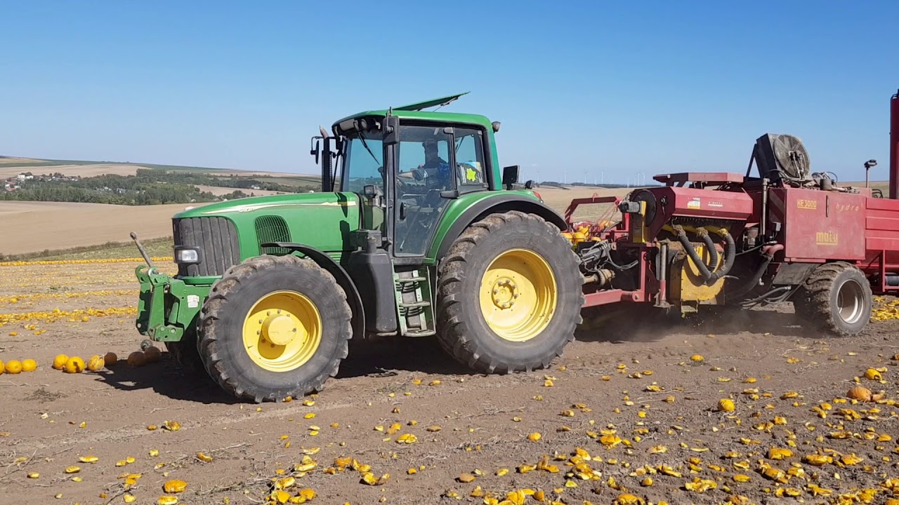 Kürbisernte - Pumpkin Harvest 2017