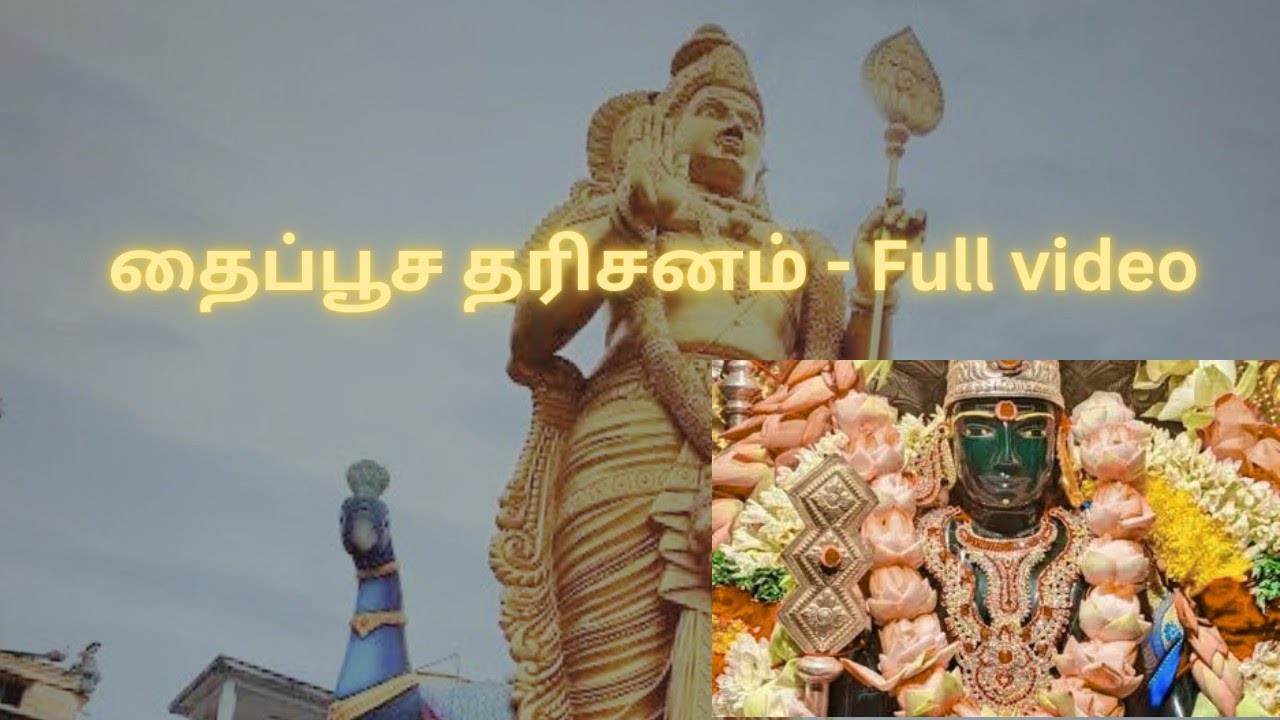 தைப்பூச திருநாள் தரிசனம் 2026 | முருகனின் பேரருள் 🔱✨ | முழு வீடியோ