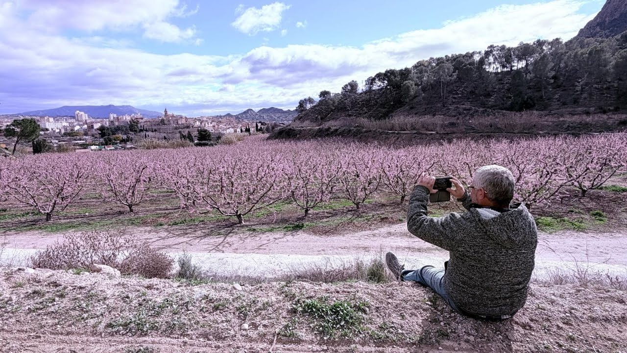 APRENDIENDO ENTRE FLORES.Floración de Cieza. Región de Murcia. Capitulo 2.