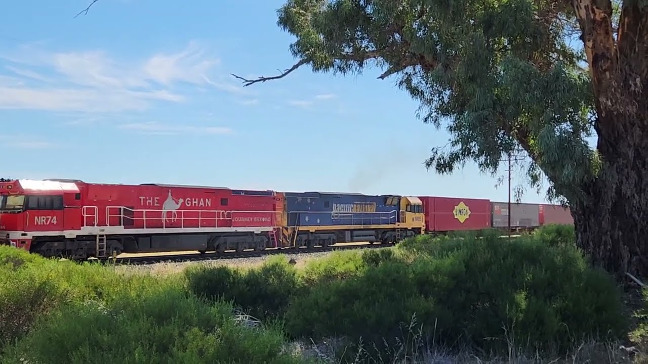 Pacific National. Dimboola, Victoria. 14/3/2026.