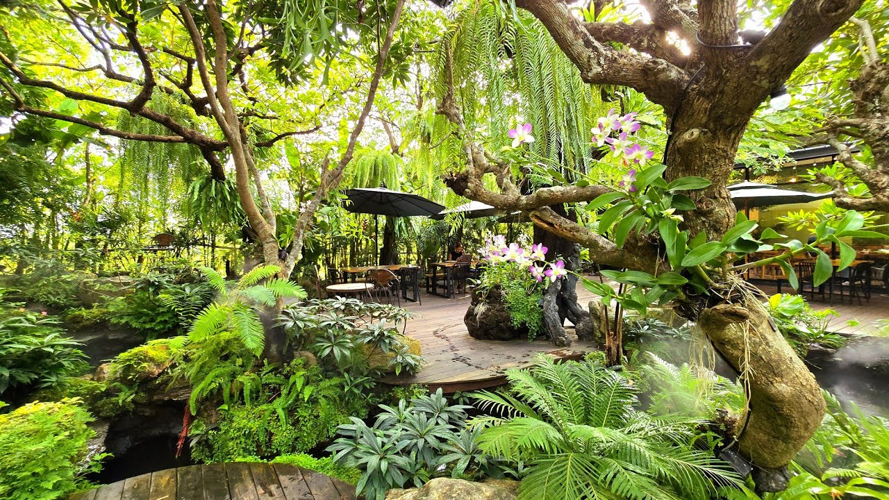 Bangkok's hidden gem cafe @ Nonthaburi, less than an hour from central Bkk..