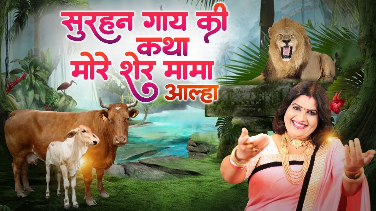 सुरहन गाय की कथा मोरे शेर मामा आल्हा स्वर -संजो बघेल