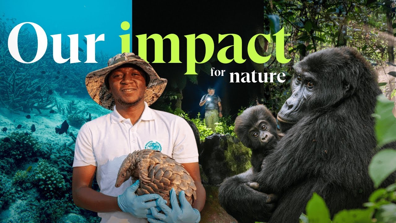Fauna & Flora's impact for nature conservation