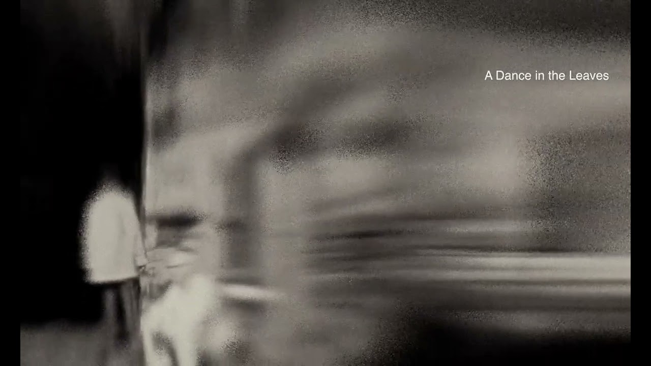 Above, Below - A Dance in the Leaves (Album Visualiser)