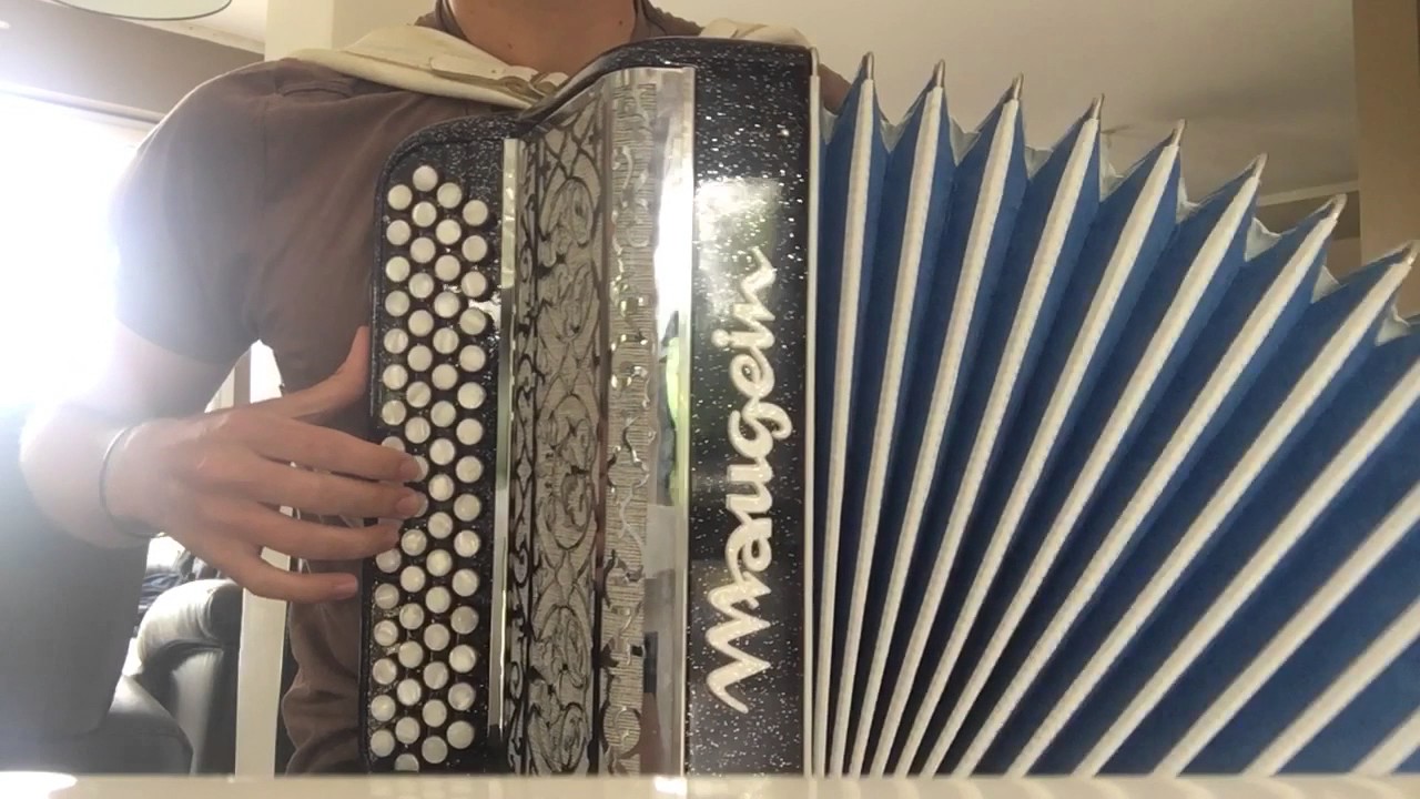 La foule accord&eacute;on chromatique (2 ans de pratique) sans solf&egrave;ge.