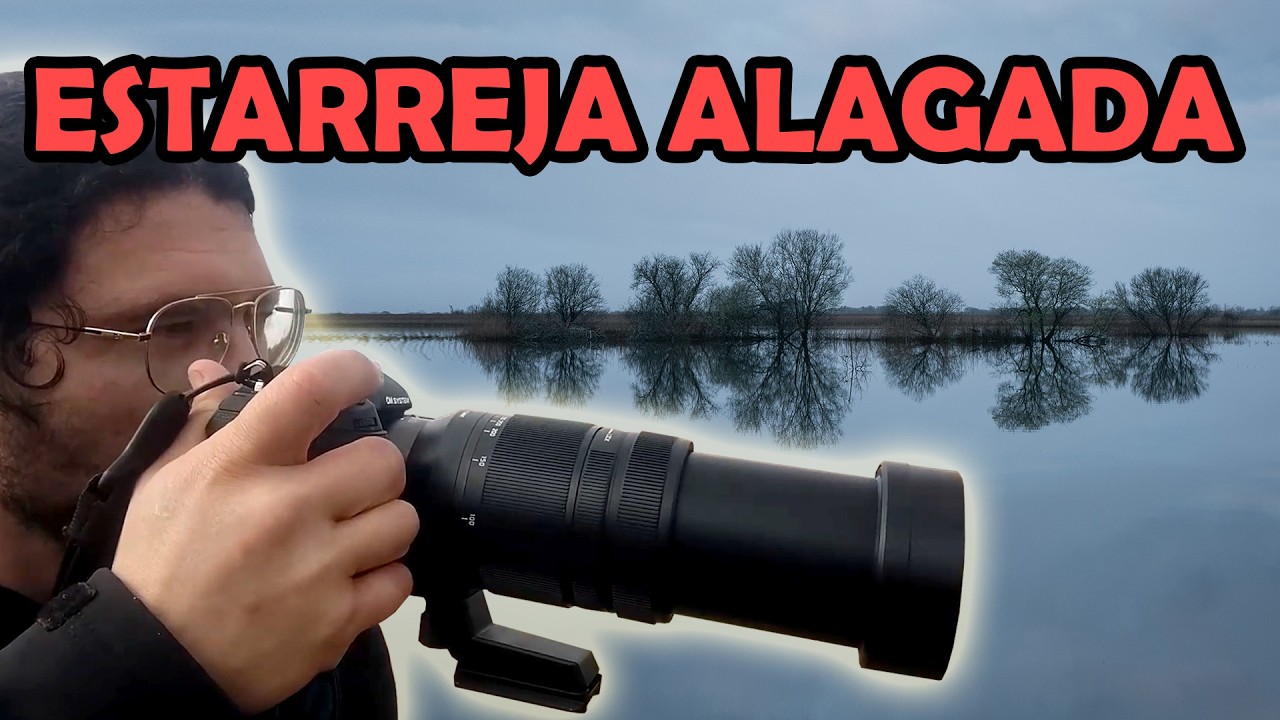 Estarreja TRANSFORMADA pelas Cheias!