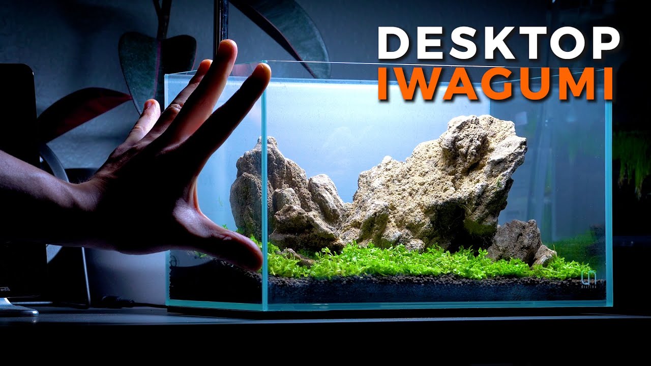 NANO AQUASCAPE TUTORIAL | Desktop Iwagumi