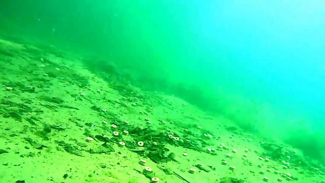 SUBACUATIQUE les carpes D'ARJUZANX