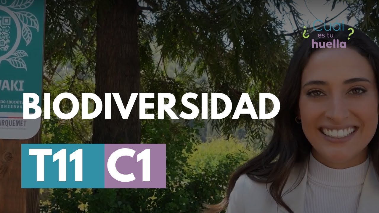 T11 CAP 01: Biodiversidad