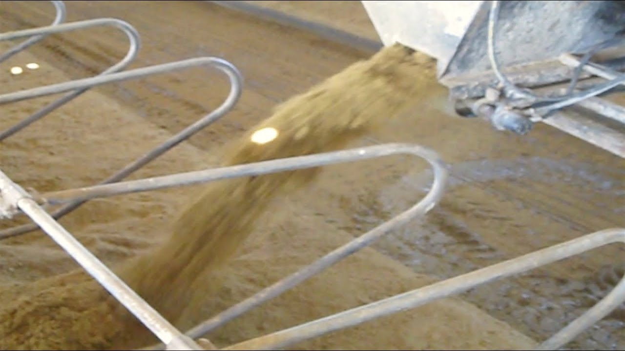 Dairy cows love this bedding: From manure to manufactured bedding