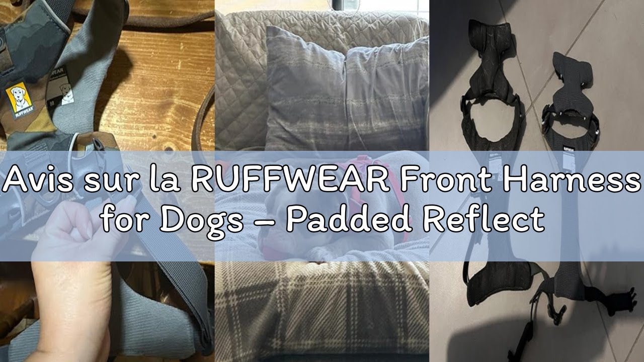 Avis sur la RUFFWEAR Front Harness for Dogs – Padded Reflective Anti-Pull Harness Basalt Gray Small
