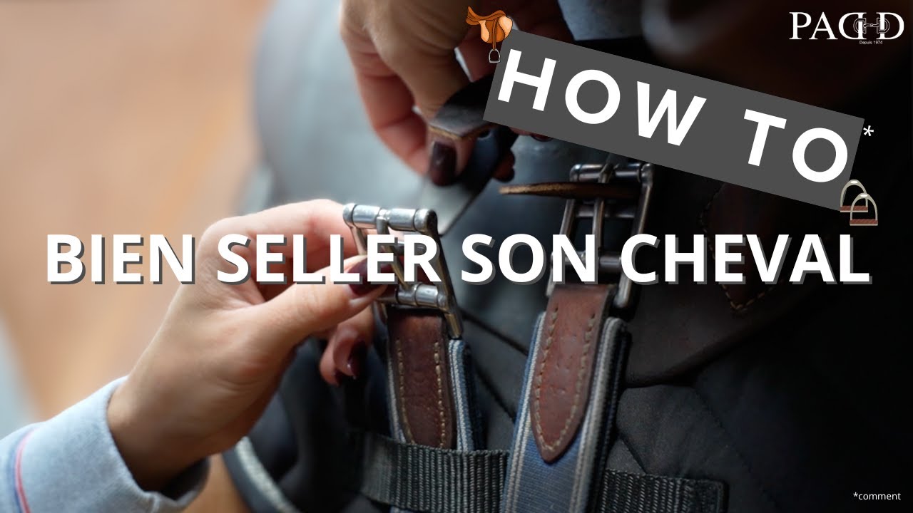 PADD - ASTUCES DE PRO ✨ Comment bien seller son cheval ?