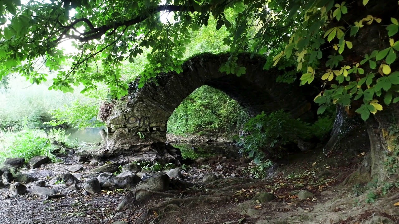 Ramparts, River Boyne Walk, Navan 1