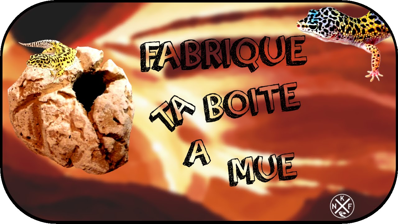 Tuto - Fabrication d'une boîte à mue