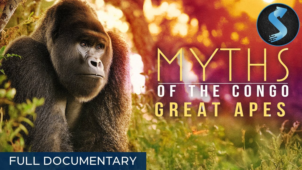 Gorillas, Chimps, and Bonobos of the Congo | Full Wildlife Documentary | Myths of Congo: Great Apes