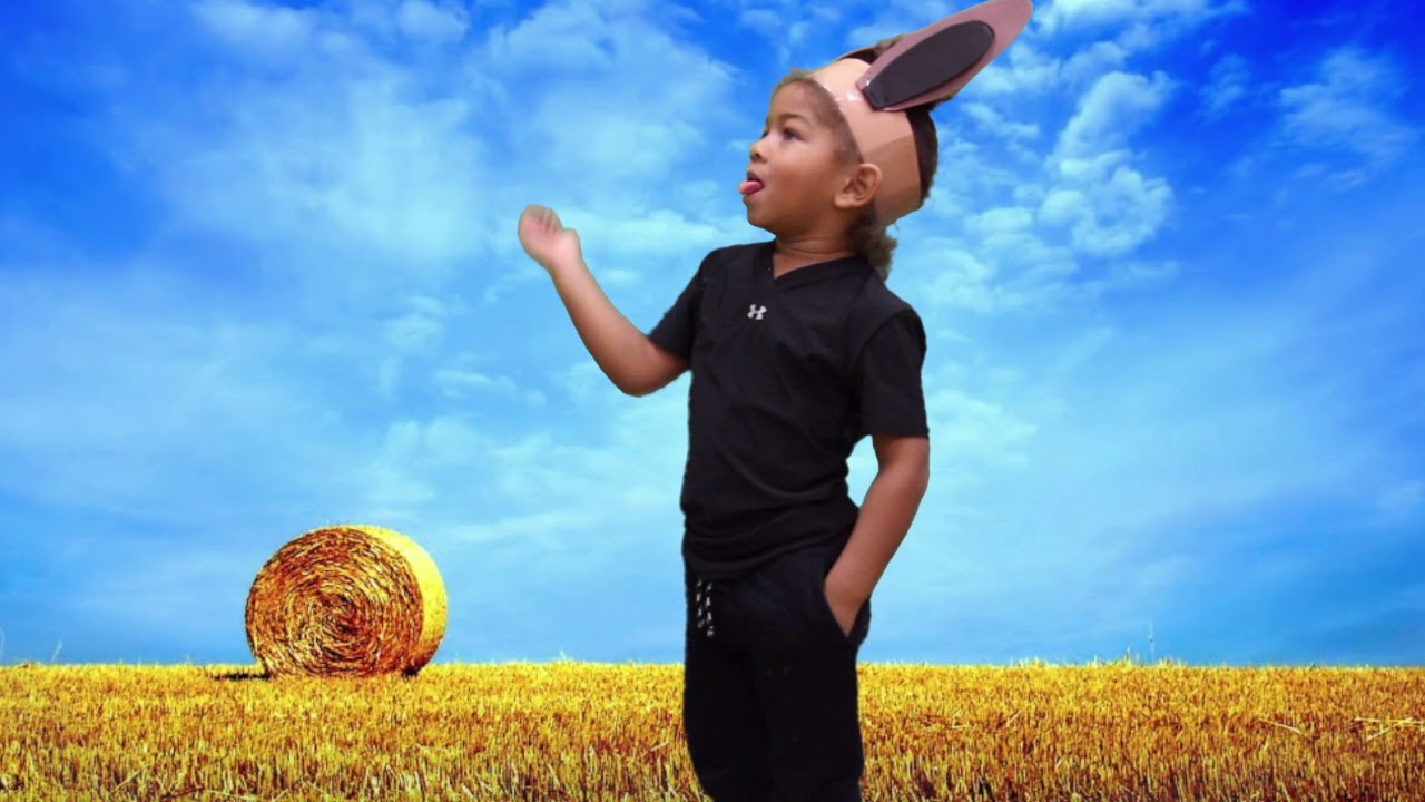 Visual Media Plays 2017: 3 Little Pigs (Preschool)