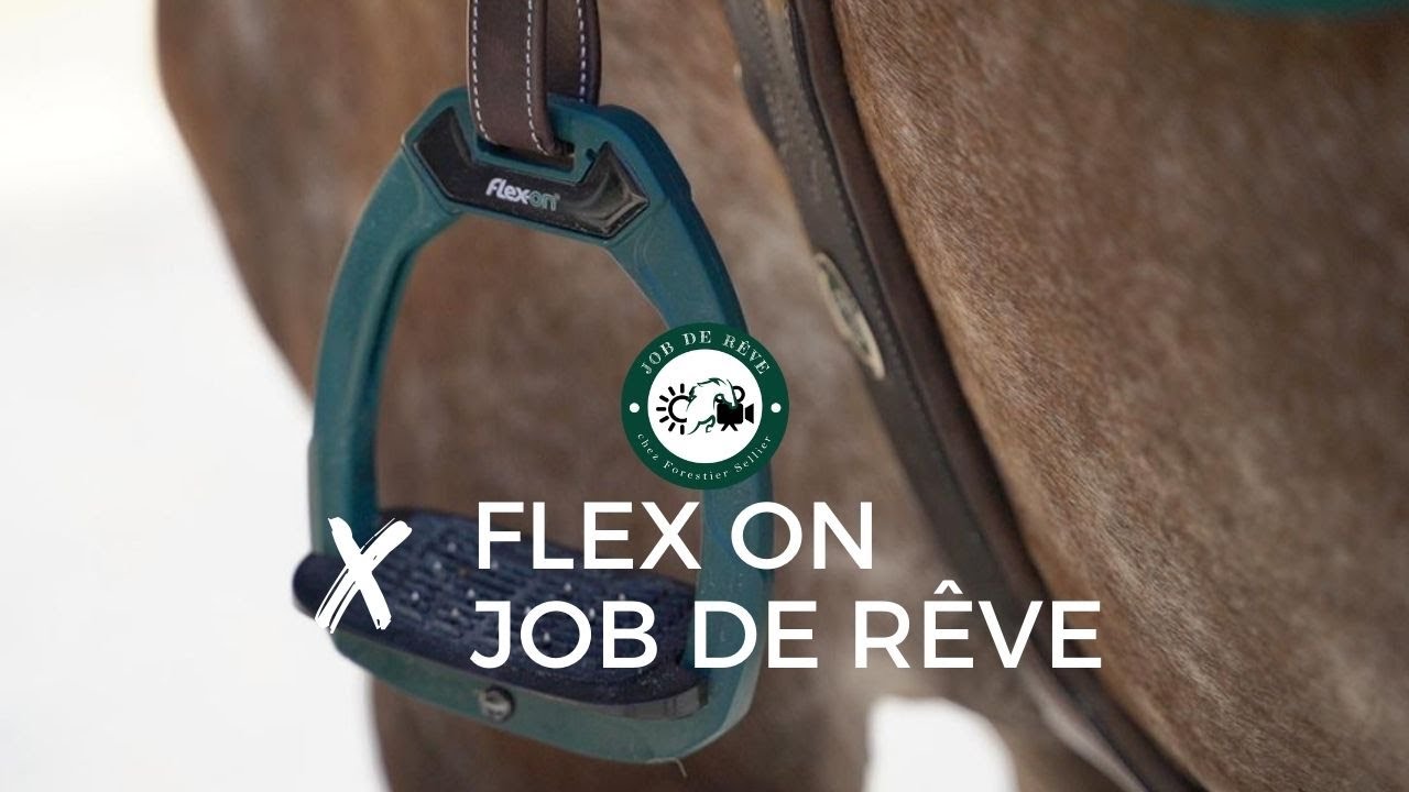 Les étriers des THE STAGIAIRES - Flex on x Job de rêve