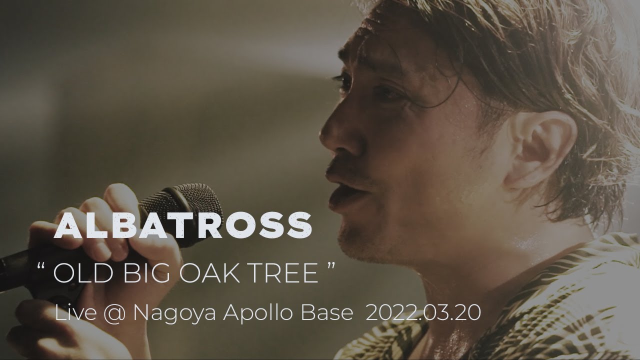 ALBATROSS 