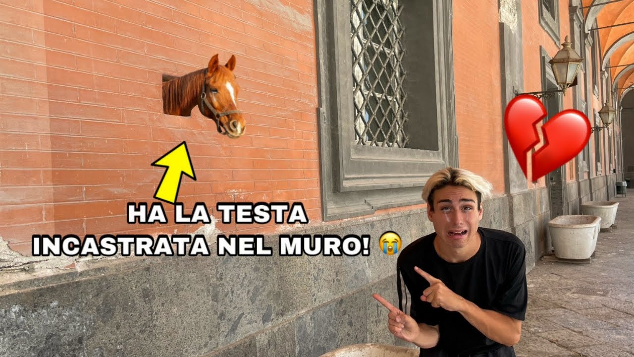 TROVIAMO UN CAVALLO CON LA TESTA INCASTRATA IN UN BUCO!! *&egrave; in pericolo*