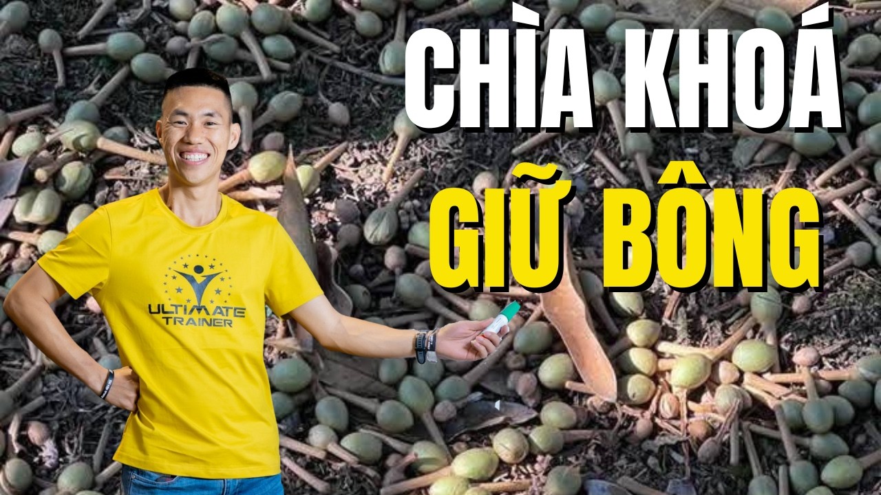 Ngừng bón phân ĐẠM cao sầu riêng mà hãy bắt đầu kiểm soát tỷ lệ CN ngay hôm nay | Phạm Đức Thiện