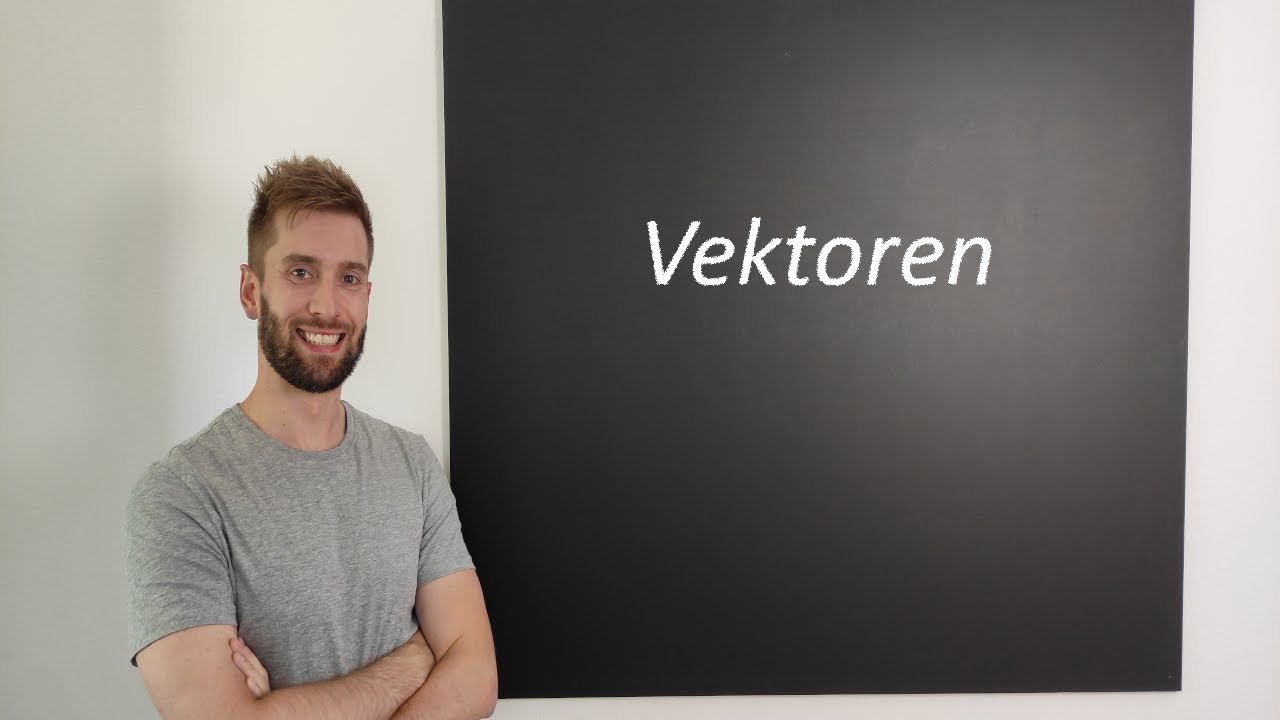 Vektoren